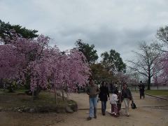 3Himeji_Castle03