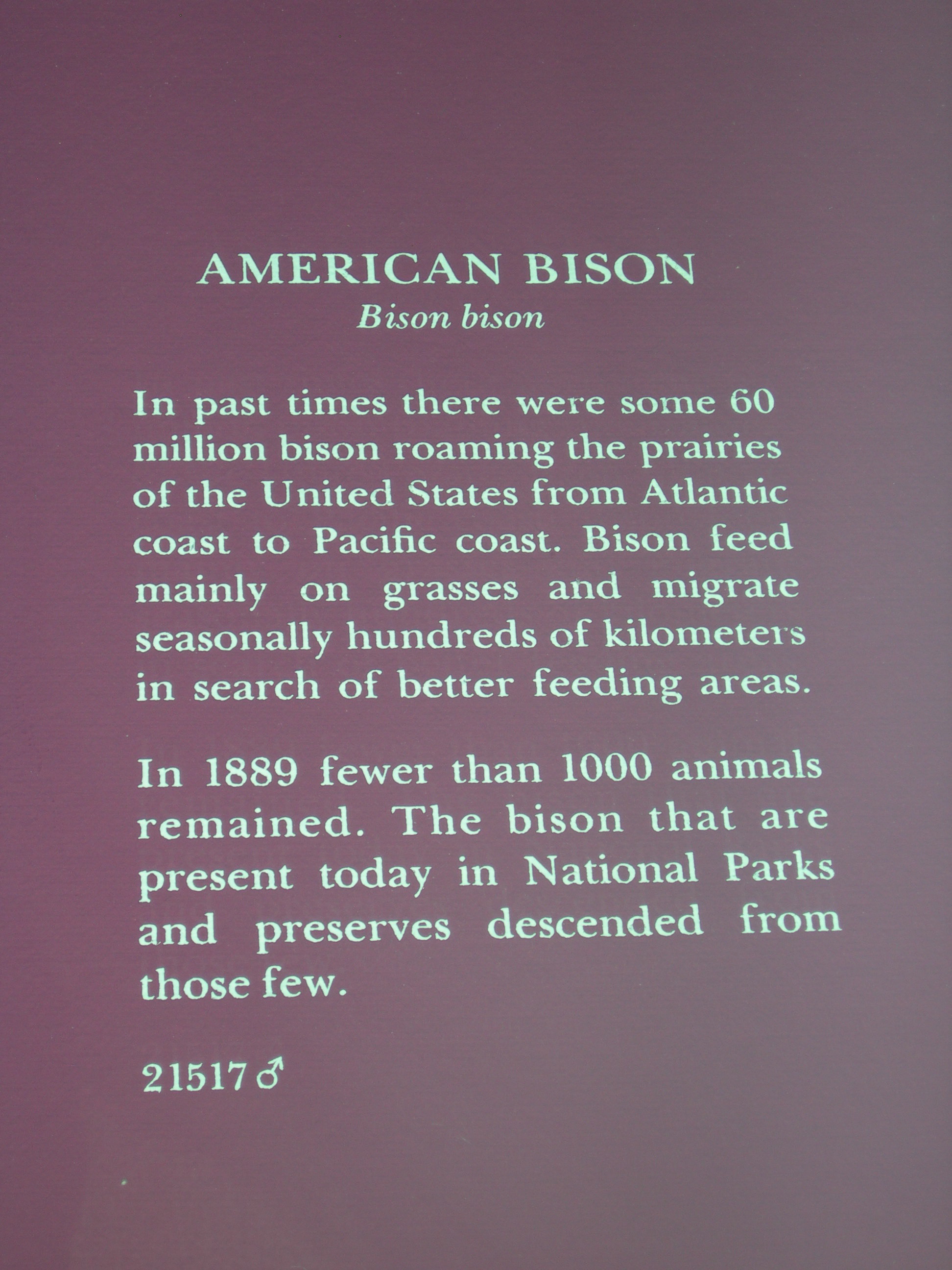 DSCN0771.JPG
