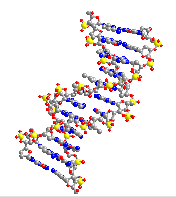 DNA