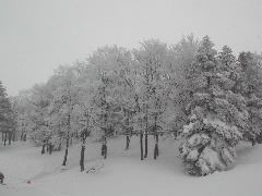 DSCN1150.JPG