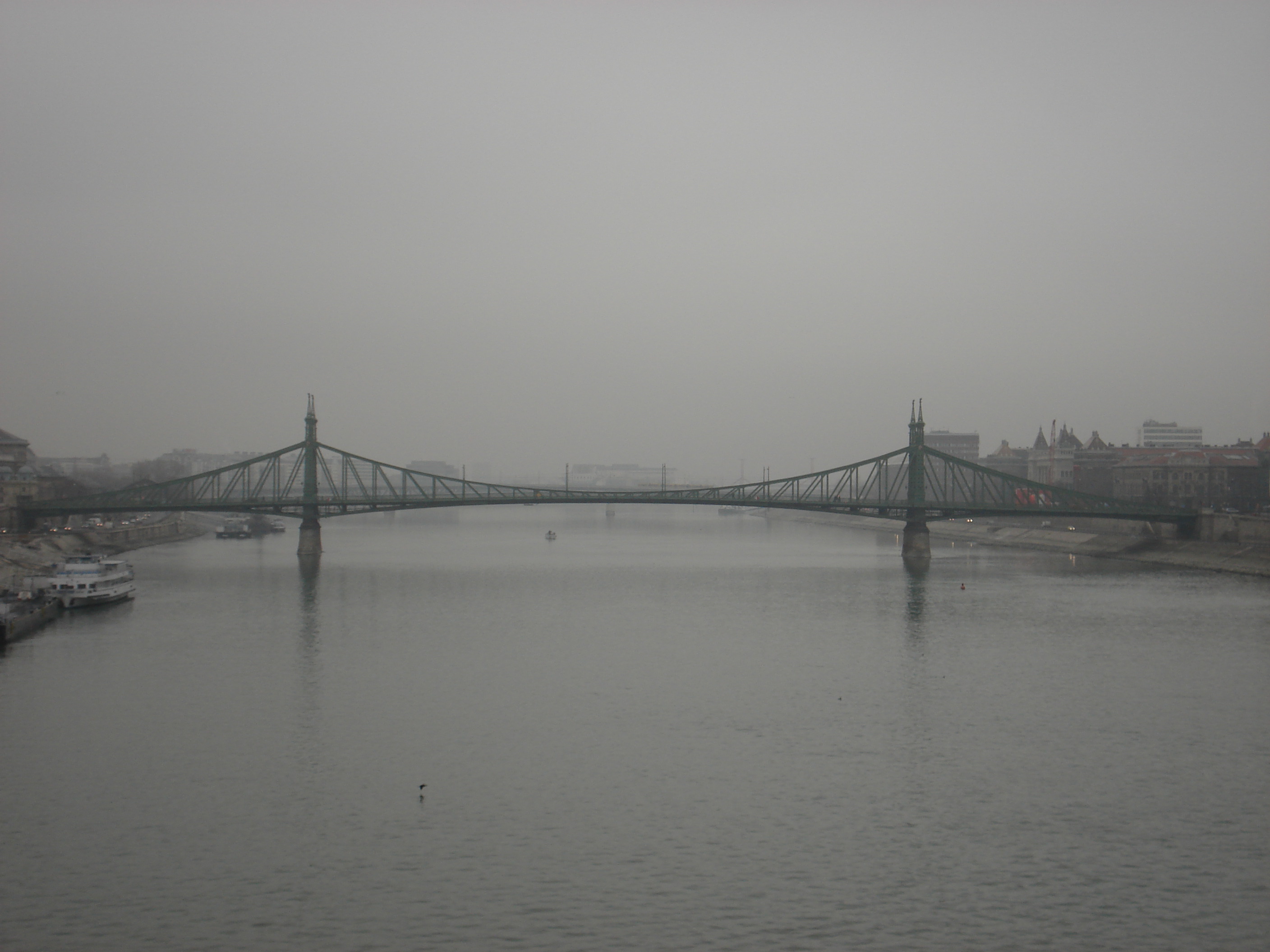 Liberty  Bridge