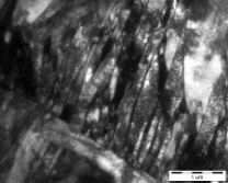 Detailed martensite lath structure of as-quenched hot-rolled sheets-No.1 steel