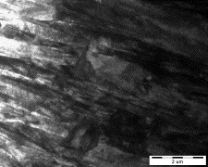 Detailed martensite lath structure of as-quenched hot-rolled sheets-No.2 steel