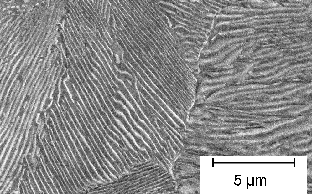 Optical microstructure of pearlite