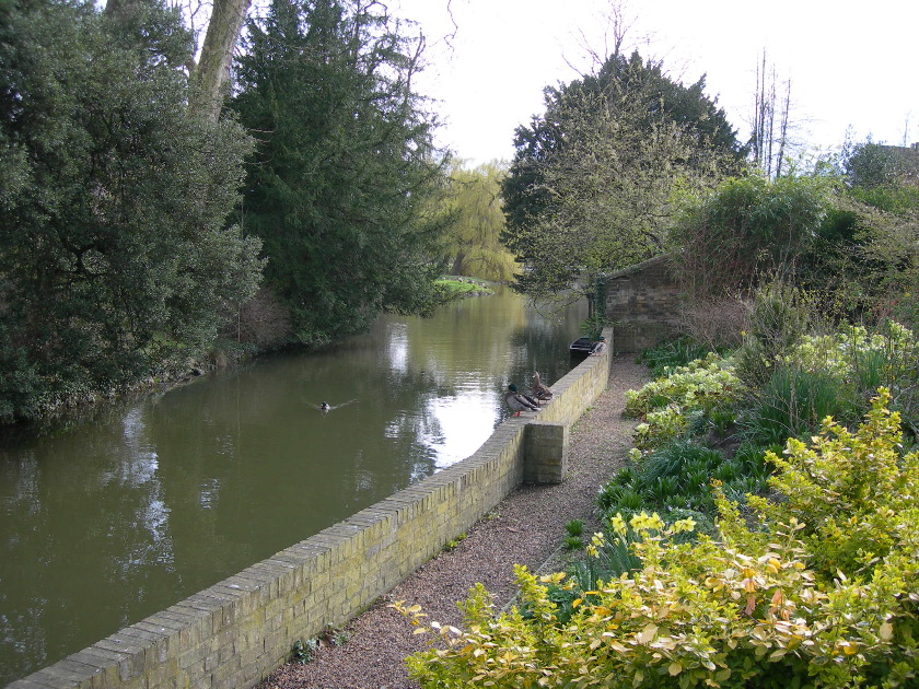 dscn1882