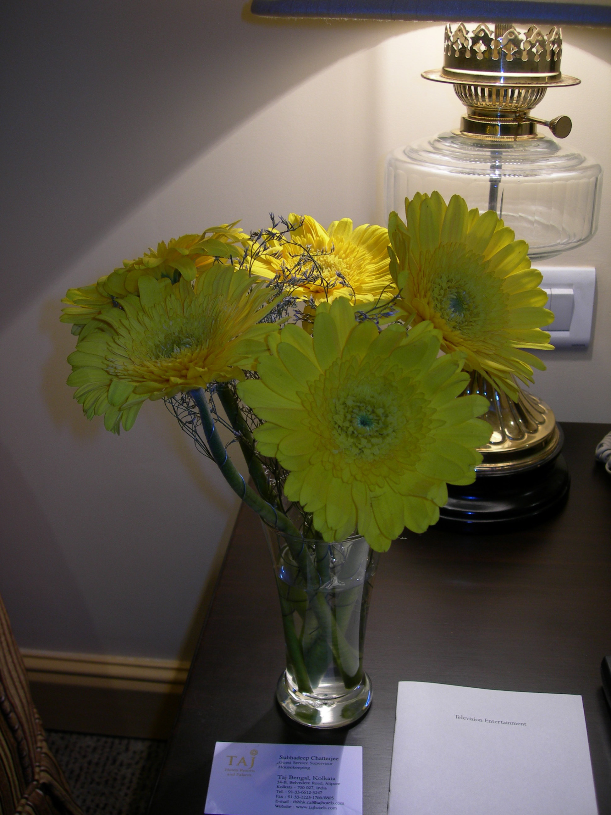 DSCN1266.JPG