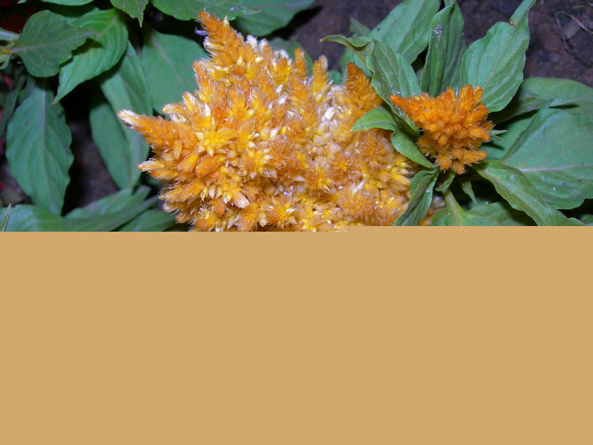 DSCN1631.JPG