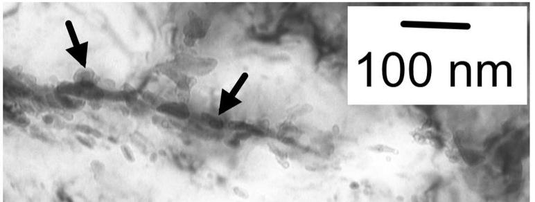 fatigue crack growth