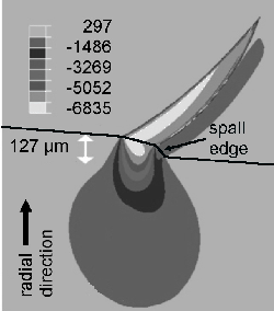 \includegraphics[width=0.45\textwidth]{Branch_radial2.eps}