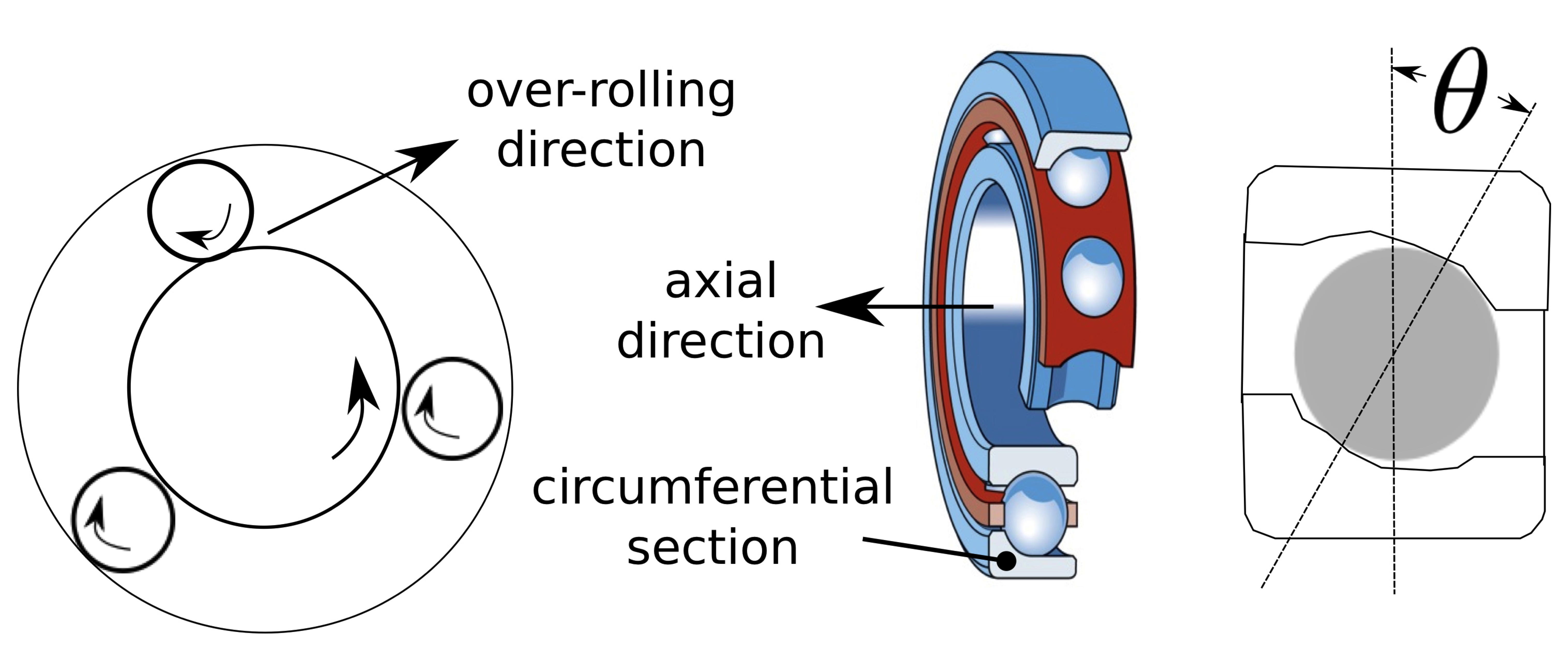 Diagram showing axial, radial and circumferential directions