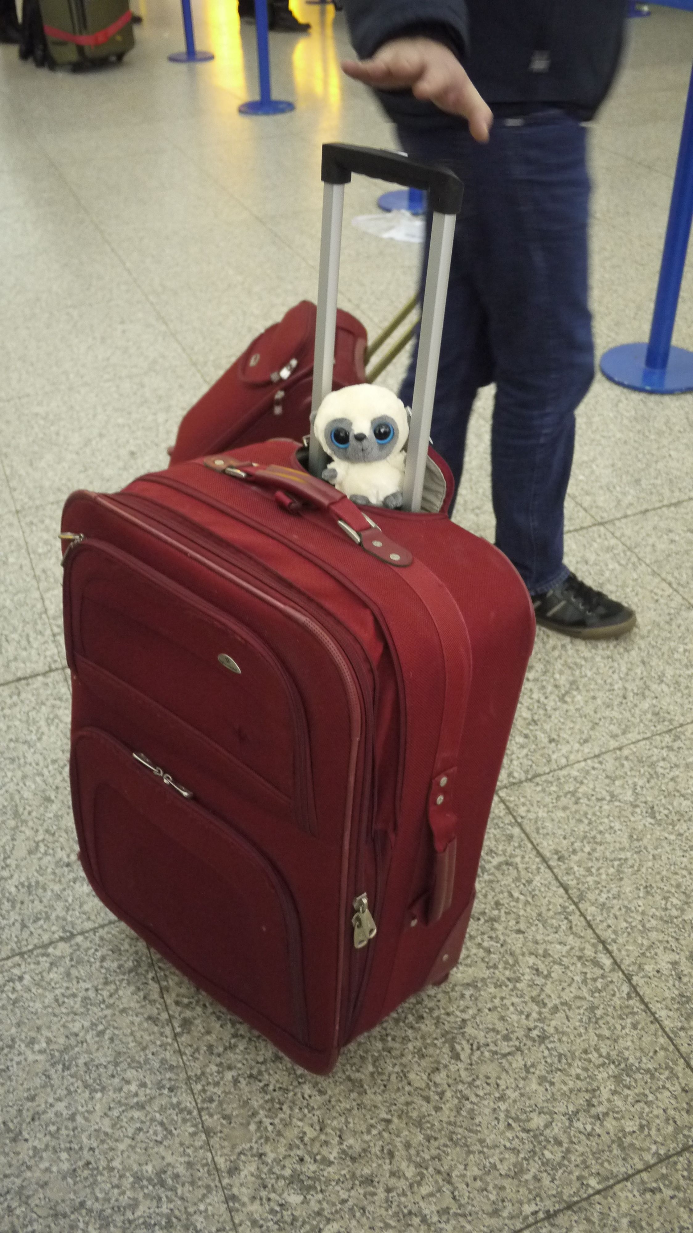 00_mascot_stansted