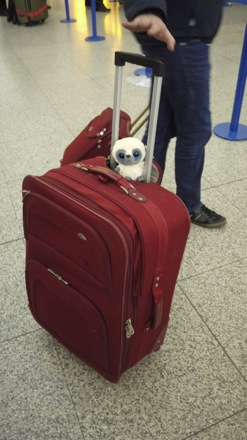 00_mascot_stansted