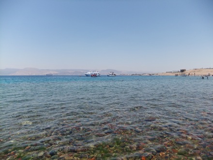 Aqaba_Red Sea_4
