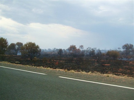 18a Bushfire by the road!