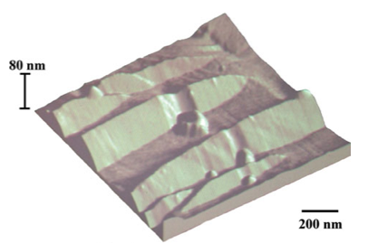 surface relief of nanostructured bainite