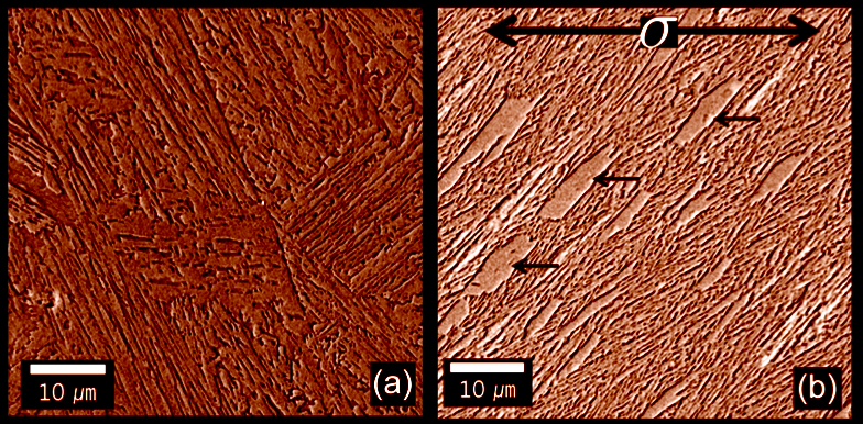 coalesced bainite