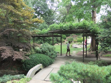 Hala Salman Hasan, Botanical Gardens, Cleaveland, Ohio, USA