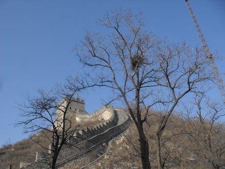 Hector Pous, Andrea, China, Beijing, December 2012, Yan Pei