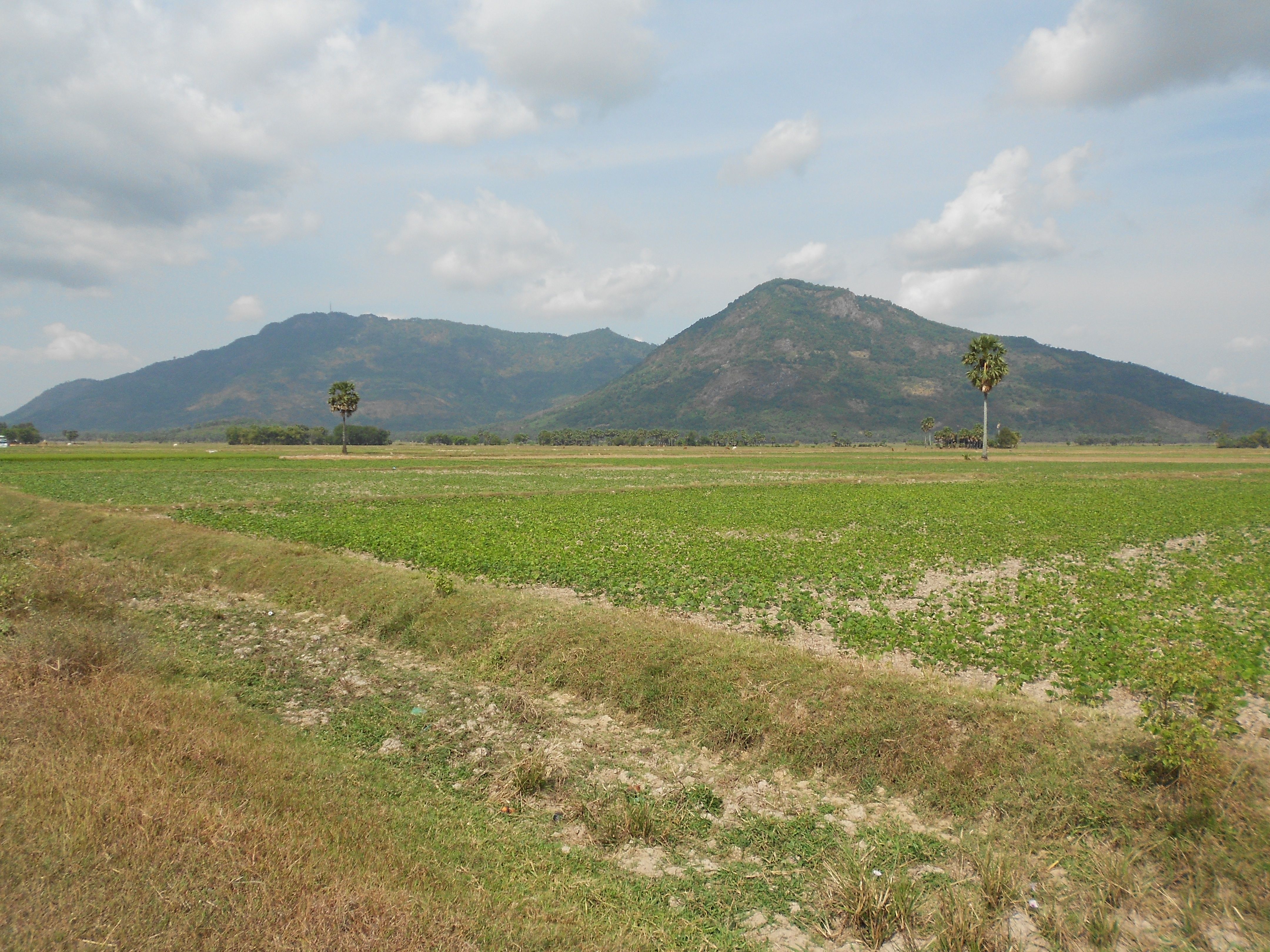 On_the_road_to_my__father_farm_3