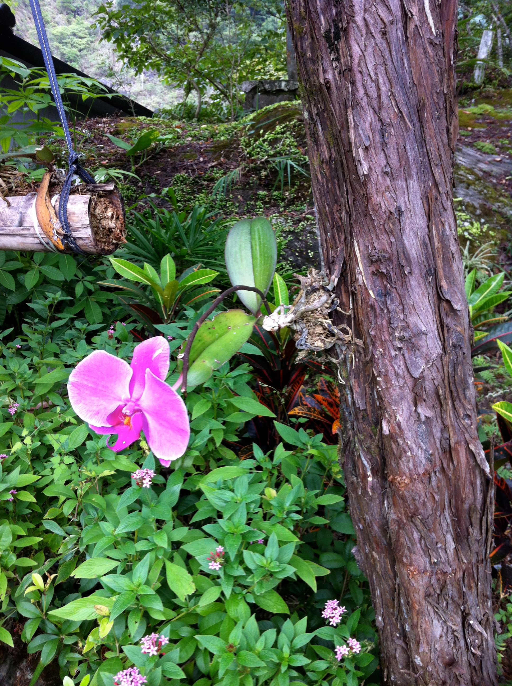 Taroko national park4