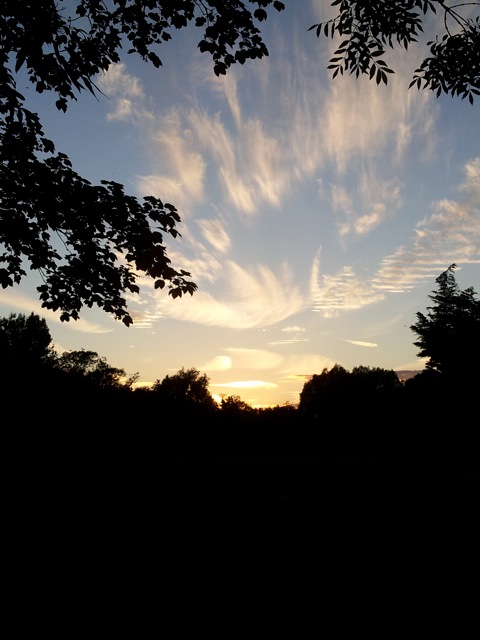 Sunset in Cambridge, Hala Salman Hasan