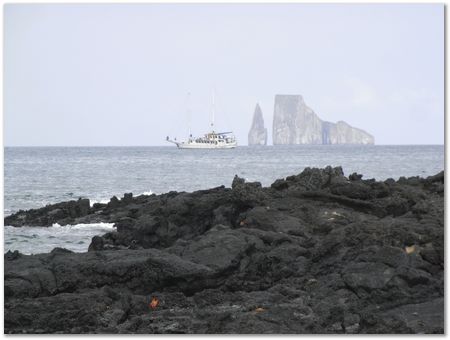 Galapagos Islands, Ecuador, Charles Darwin, Evolution