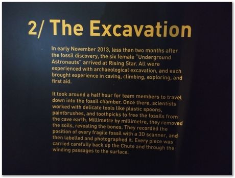 Cradle of humankind, South Africa, University of Pretoria, EMSA conference, 2017, Electron microsopy of south africa, Nelson Mandela University, Cape Town University, Johan Westraadt, Rob Knutsen, Roelf Mostert, Jan Neethling, steel, machine learning Harry Bhadeshia