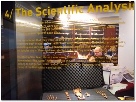 Cradle of humankind, South Africa, University of Pretoria, EMSA conference, 2017, Electron microsopy of south africa, Nelson Mandela University, Cape Town University, Johan Westraadt, Rob Knutsen, Roelf Mostert, Jan Neethling, steel, machine learning Harry Bhadeshia