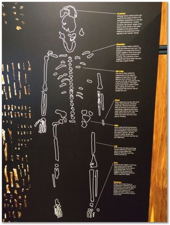 Cradle of humankind, South Africa, University of Pretoria, EMSA conference, 2017, Electron microsopy of south africa, Nelson Mandela University, Cape Town University, Johan Westraadt, Rob Knutsen, Roelf Mostert, Jan Neethling, steel, machine learning Harry Bhadeshia