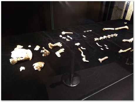 Cradle of humankind, South Africa, University of Pretoria, EMSA conference, 2017, Electron microsopy of south africa, Nelson Mandela University, Cape Town University, Johan Westraadt, Rob Knutsen, Roelf Mostert, Jan Neethling, steel, machine learning Harry Bhadeshia