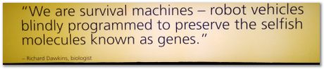 Cradle of humankind, South Africa, University of Pretoria, EMSA conference, 2017, Electron microsopy of south africa, Nelson Mandela University, Cape Town University, Johan Westraadt, Rob Knutsen, Roelf Mostert, Jan Neethling, steel, machine learning Harry Bhadeshia