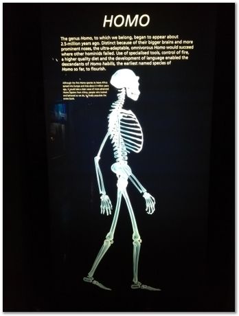 Cradle of humankind, South Africa, University of Pretoria, EMSA conference, 2017, Electron microsopy of south africa, Nelson Mandela University, Cape Town University, Johan Westraadt, Rob Knutsen, Roelf Mostert, Jan Neethling, steel, machine learning Harry Bhadeshia