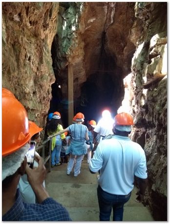 Cradle of humankind, South Africa, University of Pretoria, EMSA conference, 2017, Electron microsopy of south africa, Nelson Mandela University, Cape Town University, Johan Westraadt, Rob Knutsen, Roelf Mostert, Jan Neethling, steel, machine learning Harry Bhadeshia