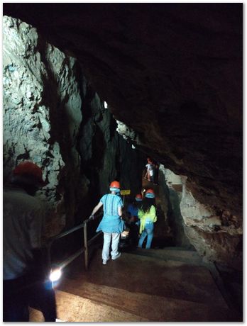 Cradle of humankind, South Africa, University of Pretoria, EMSA conference, 2017, Electron microsopy of south africa, Nelson Mandela University, Cape Town University, Johan Westraadt, Rob Knutsen, Roelf Mostert, Jan Neethling, steel, machine learning Harry Bhadeshia