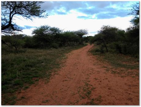 Cradle of humankind, South Africa, University of Pretoria, EMSA conference, 2017, Electron microsopy of south africa, Nelson Mandela University, Cape Town University, Johan Westraadt, Rob Knutsen, Roelf Mostert, Jan Neethling, steel, machine learning Harry Bhadeshia