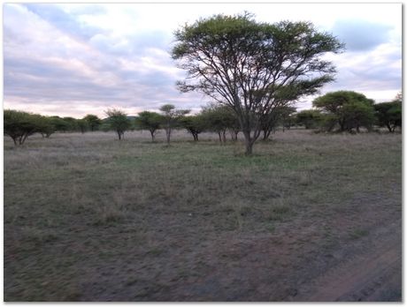 Cradle of humankind, South Africa, University of Pretoria, EMSA conference, 2017, Electron microsopy of south africa, Nelson Mandela University, Cape Town University, Johan Westraadt, Rob Knutsen, Roelf Mostert, Jan Neethling, steel, machine learning Harry Bhadeshia