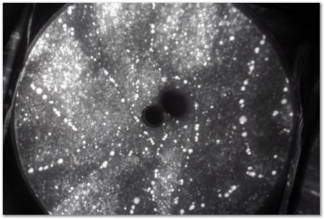 Bob Waugh, atom probe, field ion microscopy, metallurgy, superalloy, iridium, tungsten, cobalt, nickel alloy