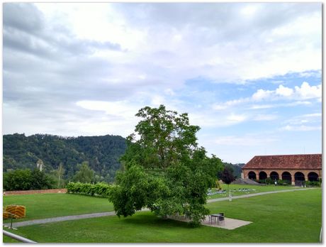 Schloss Seggau, hydrogen embrittlement, steels, nickel alloys, Horst Cerjak, Harry Bhadeshia, Graz, Austria, 2018