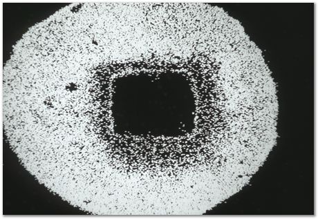 Bob Waugh, atom probe, field ion microscopy, metallurgy, superalloy, iridium, tungsten, cobalt, nickel alloy, steel, iron