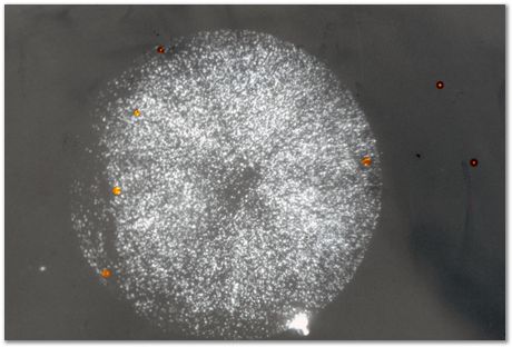 Bob Waugh, atom probe, field ion microscopy, metallurgy, superalloy, iridium, tungsten, cobalt, nickel alloy