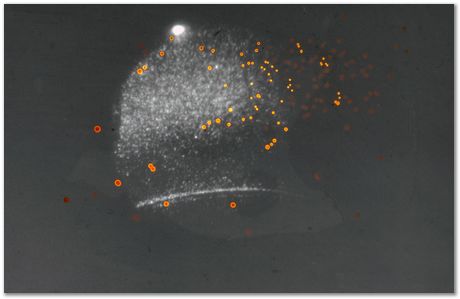 Bob Waugh, atom probe, field ion microscopy, metallurgy, superalloy, iridium, tungsten, cobalt, nickel alloy