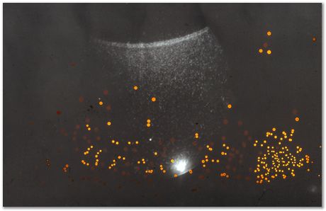 Bob Waugh, atom probe, field ion microscopy, metallurgy, superalloy, iridium, tungsten, cobalt, nickel alloy