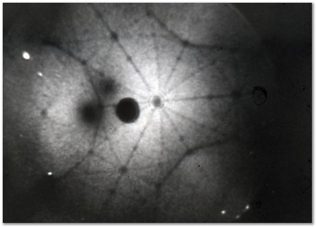 Bob Waugh, atom probe, field ion microscopy, metallurgy, superalloy, iridium, tungsten, cobalt, nickel alloy