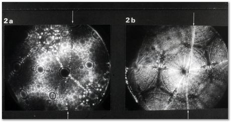 Bob Waugh, atom probe, field ion microscopy, metallurgy, superalloy, iridium, tungsten, cobalt, nickel alloy