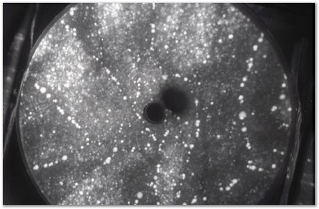 Bob Waugh, atom probe, field ion microscopy, metallurgy, superalloy, iridium, tungsten, cobalt, nickel alloy