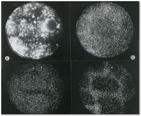 Bob Waugh, atom probe, field ion microscopy, metallurgy, superalloy, iridium, tungsten, cobalt, nickel alloy