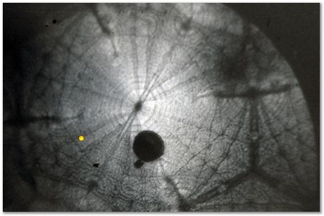 Bob Waugh, atom probe, field ion microscopy, metallurgy, superalloy, iridium, tungsten, cobalt, nickel alloy