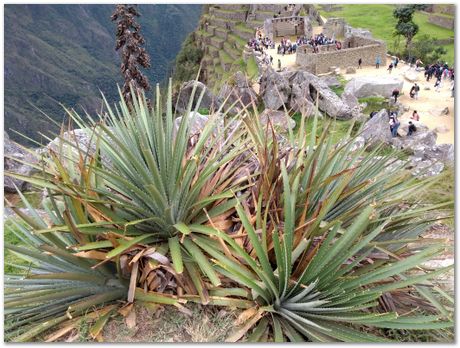 Machu Picchu, Harry Bhadeshia, Patricio Mendez, Alberto Bajarano, Peru