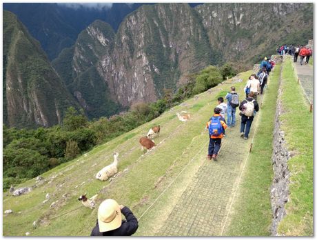 Machu Picchu, Harry Bhadeshia, Patricio Mendez, Alberto Bajarano, Peru