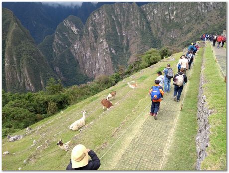 Machu Picchu, Harry Bhadeshia, Patricio Mendez, Alberto Bajarano, Peru